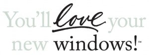 love your new window logo