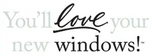 love your new window logo