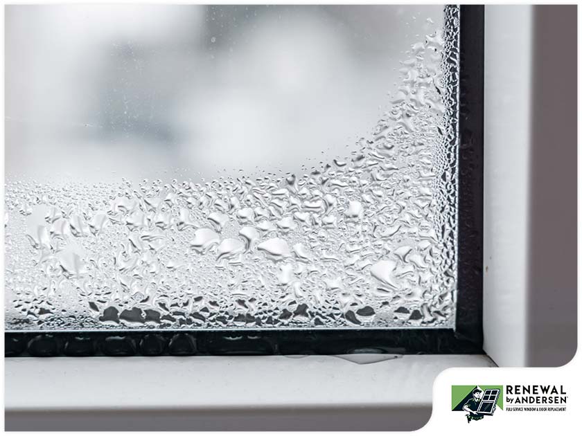 Should You Be Worried About Summer Window Condensation?